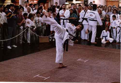 LA Tournament (1991)